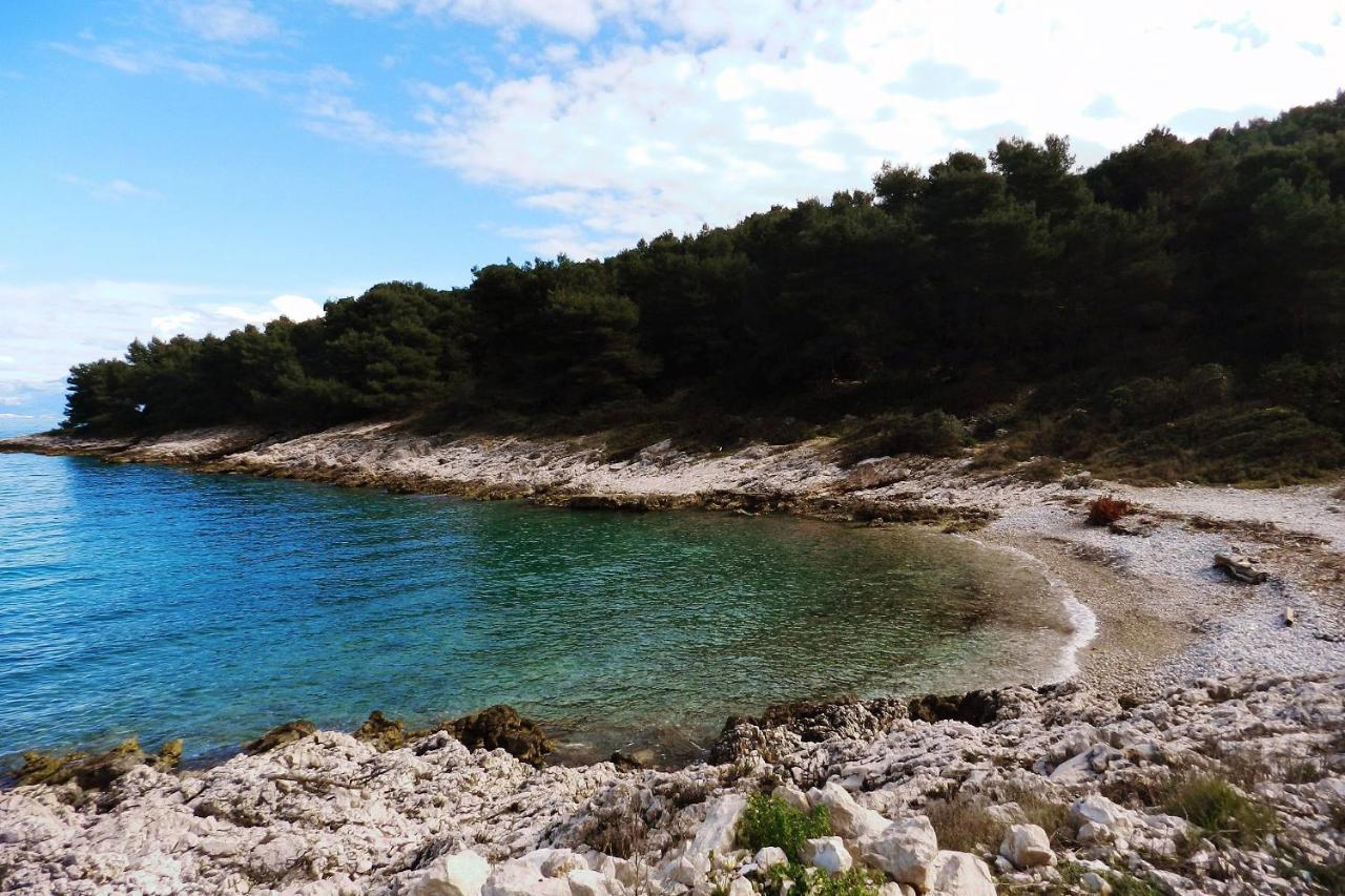 Apartments By The Sea Cove Donja Kruscica - Donja Krusica, Solta - 15636 Grohote Εξωτερικό φωτογραφία